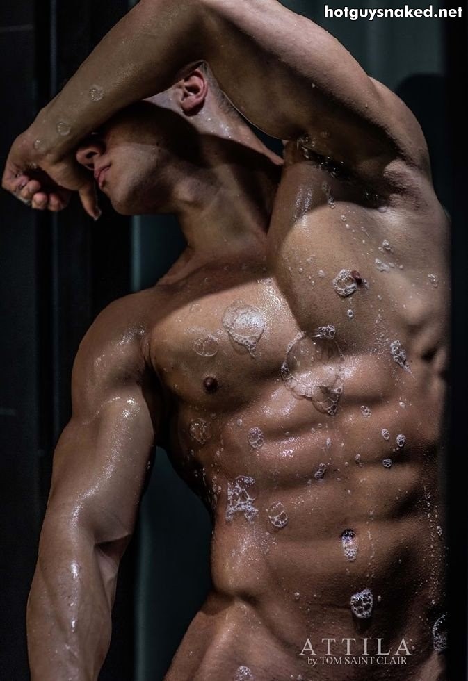 Attila Toth hungarian male fitness model
